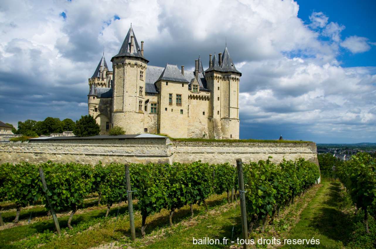 Le chateau de Saumur avec des vignes en avant plan.