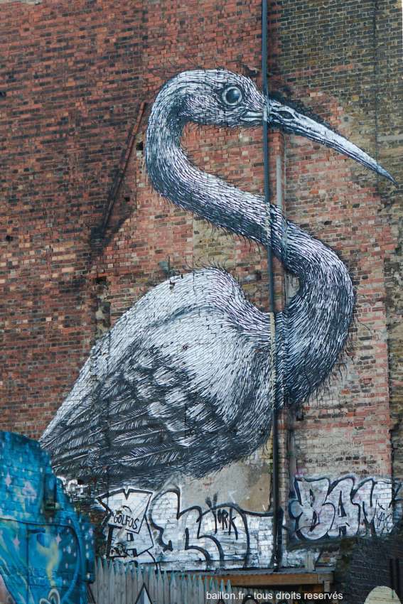 Oiseau blanc sur un mur de brique à Brick-lane.