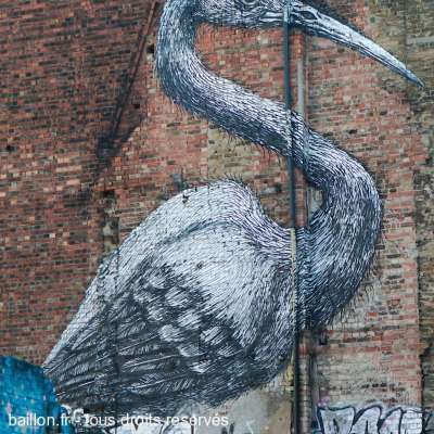Oiseau blanc sur mur de brique