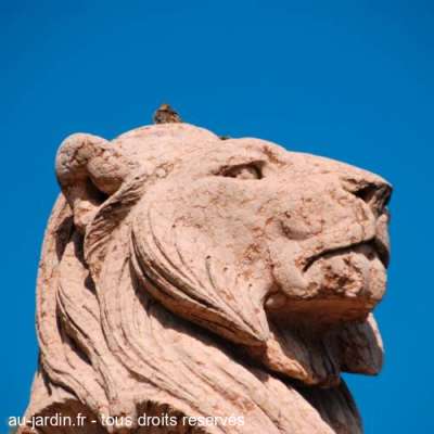 Lion du monument Brunswick à Genève