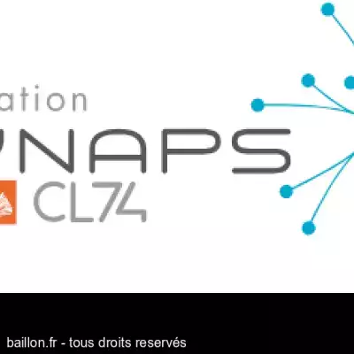 La LIS aux 20 ans de synaps 74