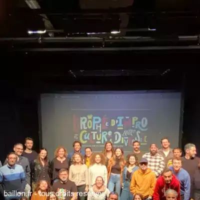La LIS au séminaire des coachs du Trophée d'Impro Culture et Diversité à la Comédie Française